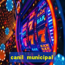 canil municipal porto alegre